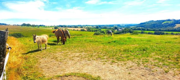 Casa T3 em Tarn, France N.º 338379 15