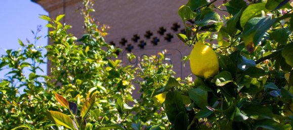 4 Schlafzimmer Villa in Roseto degli Abruzzi, Italy, Nr. 404393 13