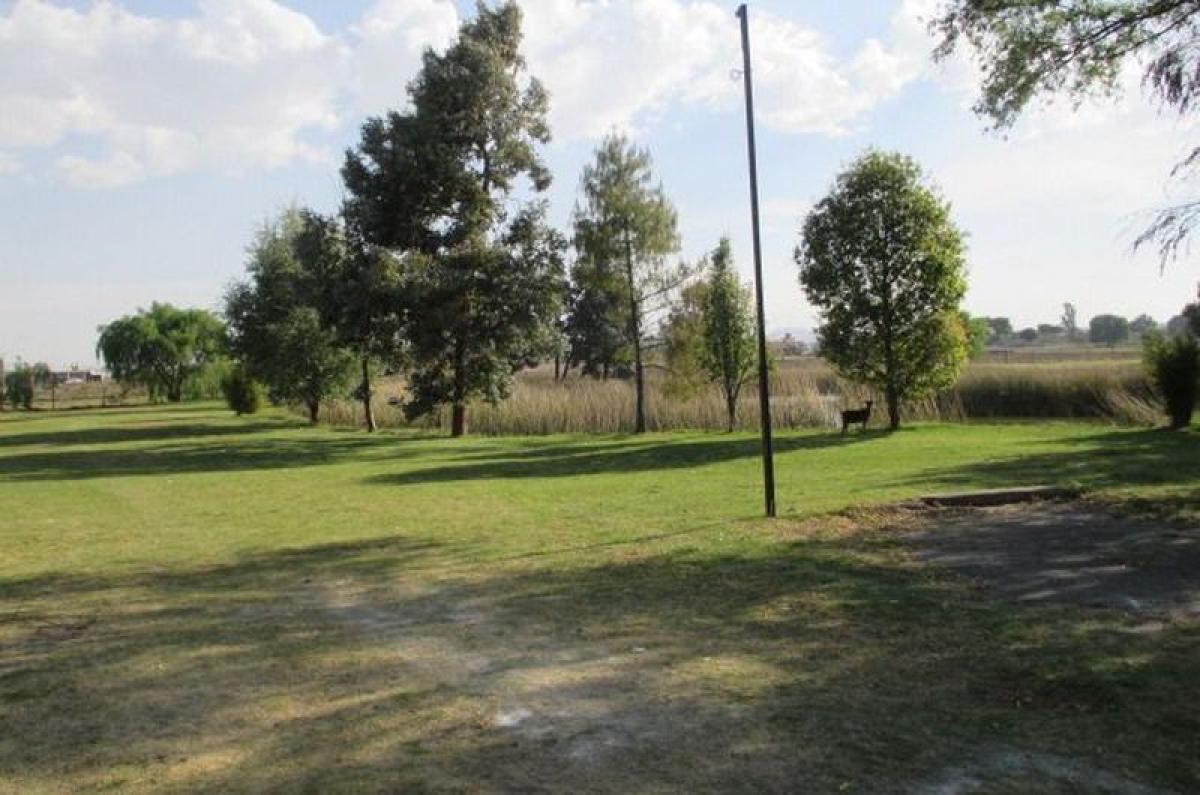  Land in Mexico No. 205029