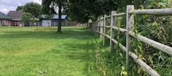  Castillos de 5 habitaciónes en Schleswig-Holstein, Germany No. 101321 8