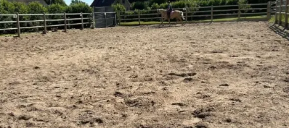  Castillos de 5 habitaciónes en Schleswig-Holstein, Germany No. 101321 4