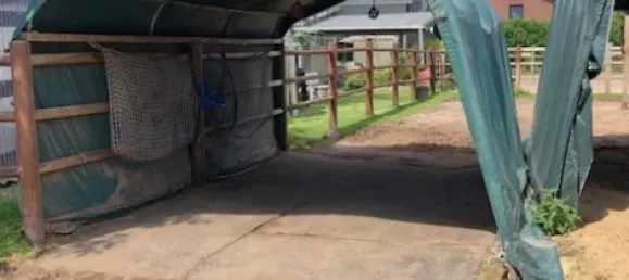  Castillos de 5 habitaciónes en Schleswig-Holstein, Germany No. 101321 6