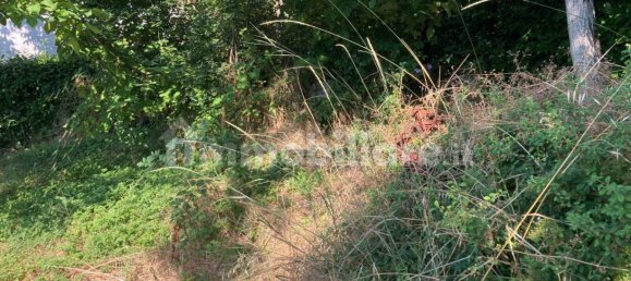 3 chambres Maison à Sestola, Italy No. 71632 9