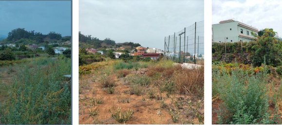 Grundstück in Tenerife, Spain, Nr. 162715 2