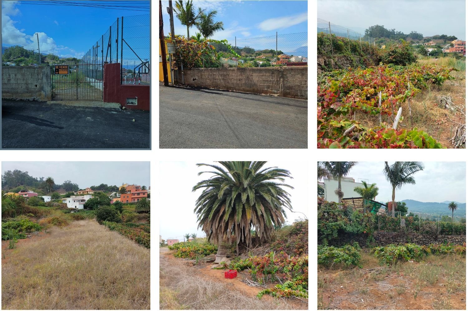 Grundstück in Tenerife, Spain, Nr. 162715