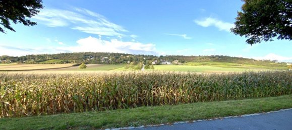 5-Zimmer Villa in Bisamberg, Austria, Nr. 141801 6