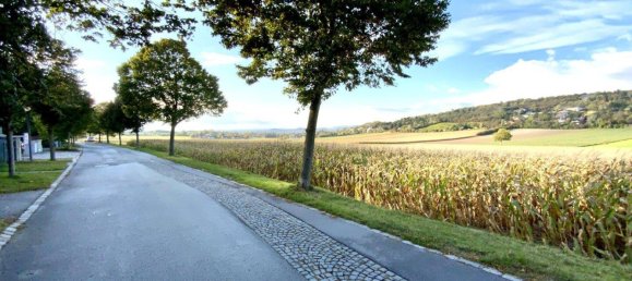 5-Zimmer Villa in Bisamberg, Austria, Nr. 141801 5