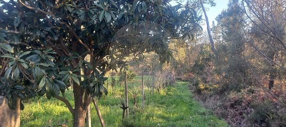 Casa de 3 dormitorios en Serta, Portugal No. 162373 20