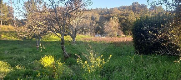 Casa de 3 dormitorios en Serta, Portugal No. 162373 2