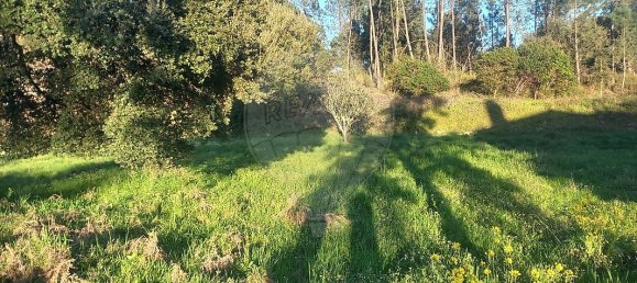 Casa de 3 dormitorios en Serta, Portugal No. 162373 19