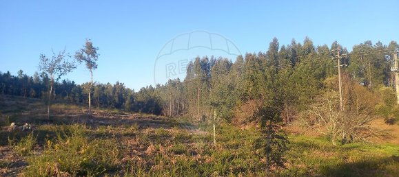 Casa de 3 dormitorios en Serta, Portugal No. 162373 16