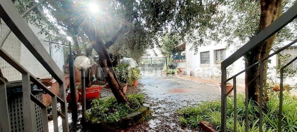 4 غرف نوم فيلا في Impruneta, Italy رقم 89514 5