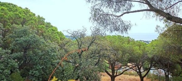 Terreno en Castell-Platja d'Aro, Spain No. 94551 2