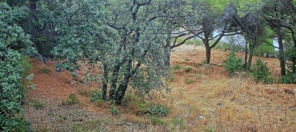 Terreno en Castell-Platja d'Aro, Spain No. 94551 3