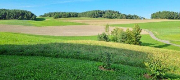 3 bedrooms Bungalow in Alberndorf in der Riedmark, Austria No. 226763 4