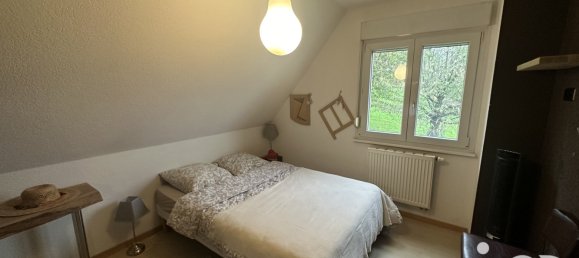 3 Schlafzimmer Haus in Hegenheim, France, Nr. 219119 20