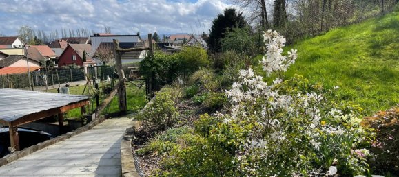3 Schlafzimmer Haus in Hegenheim, France, Nr. 219119 7