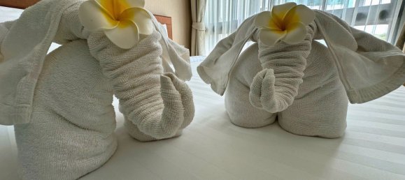 Studio in the Condo in Nai Yang, Thailand No. 8442 6