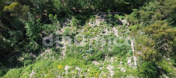 Grundstück in Vila Nova de Famalicao, Portugal 539m², Nr. 32976 4