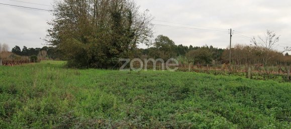 قطعة أرض في Palhaca, Portugal 1300متر مربع رقم 86292 6