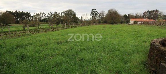 قطعة أرض في Palhaca, Portugal 1300متر مربع رقم 86292 13