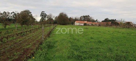 قطعة أرض في Palhaca, Portugal 1300متر مربع رقم 86292 2