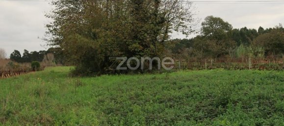 قطعة أرض في Palhaca, Portugal 1300متر مربع رقم 86292 9