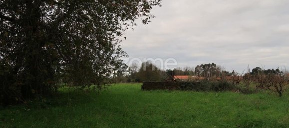 قطعة أرض في Palhaca, Portugal 1300متر مربع رقم 86292 4