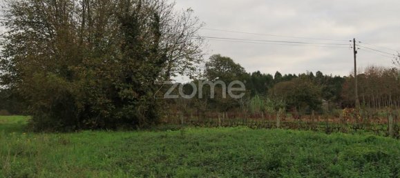 قطعة أرض في Palhaca, Portugal 1300متر مربع رقم 86292 7