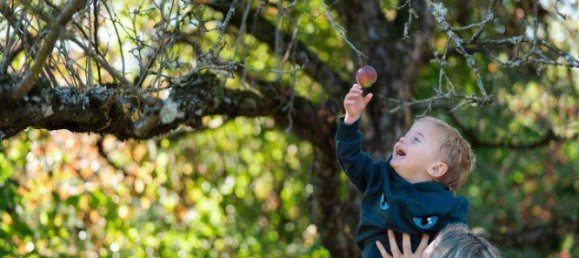 Casa de 8 divisões em Klagenfurt am Worthersee, Austria N.º 235562 17