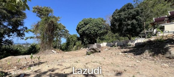  Commercial property in Kamala, Thailand No. 21644 4