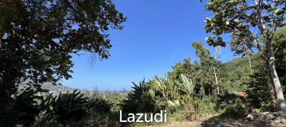  Commercial property in Kamala, Thailand No. 21644 3