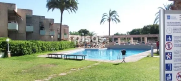 3 chambres Appartement à Palma de Majorca, Spain No. 25951 11