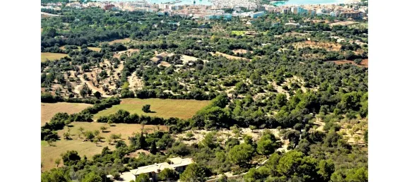 6 bedrooms Villa in Alcudia, Spain No. 95295 38