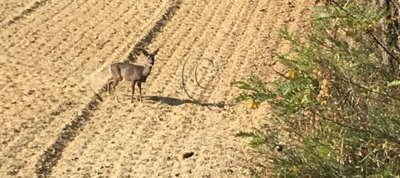 Casa T3 em Cesena, Italy N.º 59249 3