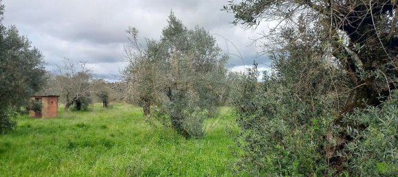 4 غرف نوم منزل في Ferreira do Zezere, Portugal رقم 25322 27