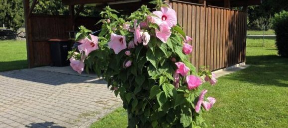 4 rooms House in Gleisdorf, Austria No. 230788 25