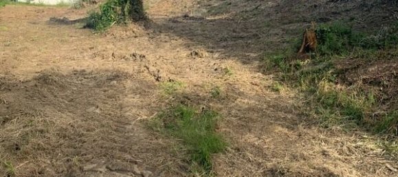  Land in Narrosse, France No. 318294 3