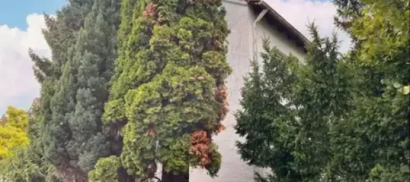 Apartamento de 3 dormitorios en Aschaffenburg, Germany No. 288858 2