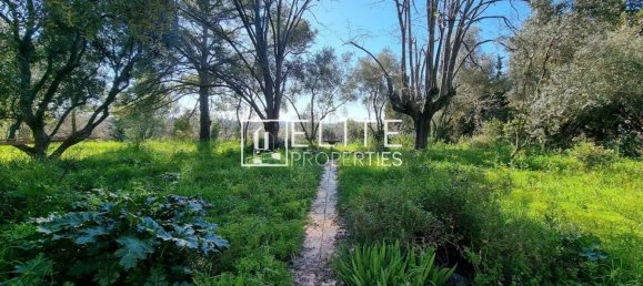 Terrain à Grasse, France 16000m² No. 112797 6