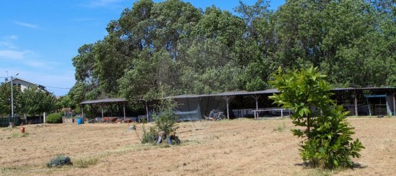 Дом с 5 спальнями в Маседу ди Кавалейруш, Португалия № 168569 28