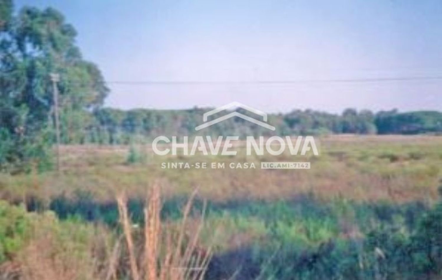 4 bedrooms House in Montenegro, Portugal No. 62746