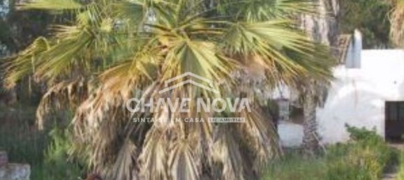 4 bedrooms House in Montenegro, Portugal No. 62746 5