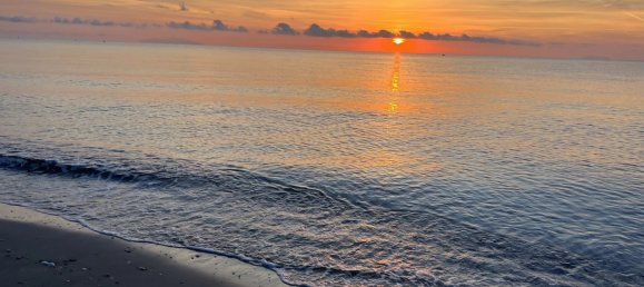 3 bedrooms Villa in San-Nicolao, France No. 51784 27