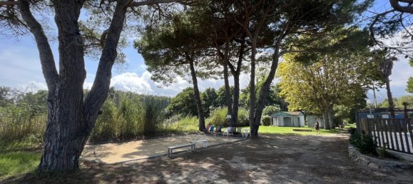 3 bedrooms Villa in San-Nicolao, France No. 51784 23