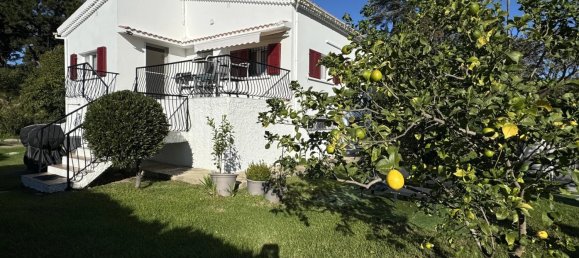 3 bedrooms Villa in San-Nicolao, France No. 51784 3