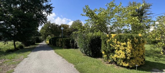 3 bedrooms Villa in San-Nicolao, France No. 51784 26