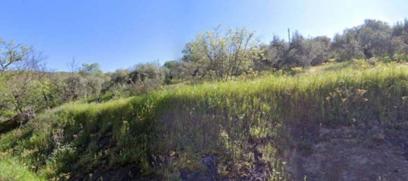  قطعة أرض في Panicale, Italy 8960متر مربع رقم 88267 2