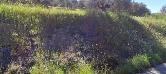  قطعة أرض في Panicale, Italy 8960متر مربع رقم 88267 3