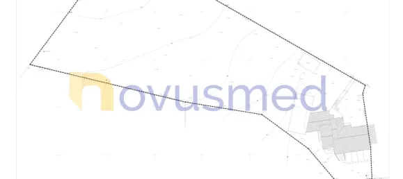 Отель, гостиница с 10 спальнями в Албуфейра, Португалия № 124533 33